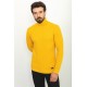 Yellow Patterned Cotton And Acrylic Fabrics With Turtleneck Detailed Casual Mens Knitwear