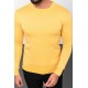 Yellow Color Elastane And Viscose Fabric With Crew Neck And Long Sleeved Detail Casual Men's Knitwear