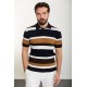 Dark Blue Color Shirt Collar And Striped Design Casual Men's Knit Tshirt