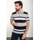 Light Grey Color Shirt Collar And Striped Design Casual Men's Knit Tshirt