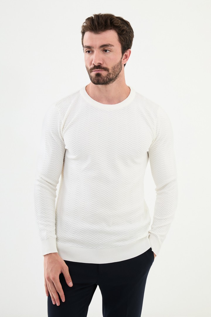 Ecru Color Figured Design Classic Crew Neck Men's Knitwear