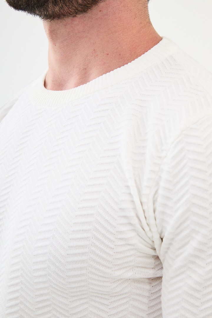 Ecru Color Figured Design Classic Crew Neck Men's Knitwear