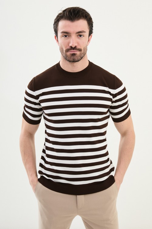 Brown Color Striped Casual Men's Knit T Shirt