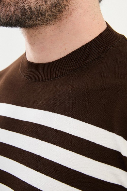 Brown Color Striped Casual Men's Knit T Shirt