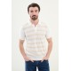 Ecru Color Striped Design Casual Men's Knit Tshirt
