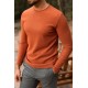 Tile Color Cotton And Elastane Fabric With Long Sleeved Crew Neck Detail Casual Mens T Shirt