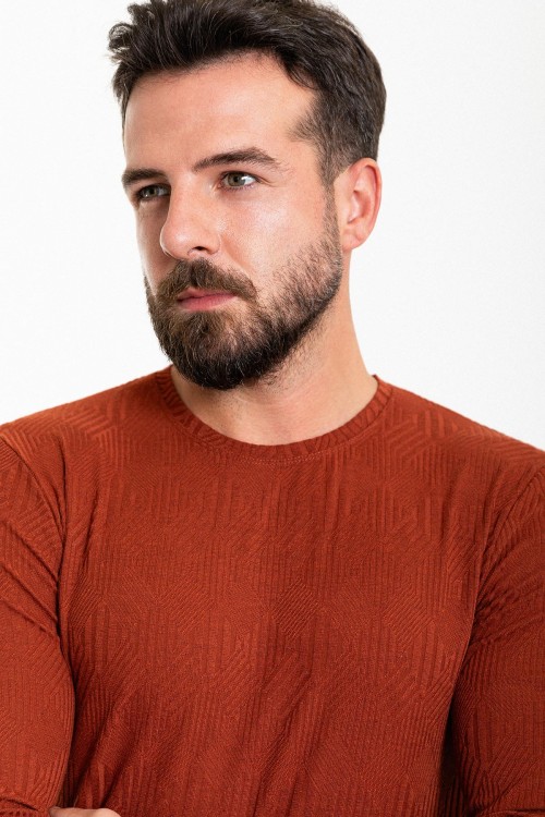 Tile Color Figured And Crew Neck Design Casual Men's Cotton T Shirt
