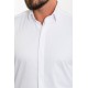 White Color Classic Men's Cotton Shirt