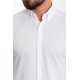 White Color Classic Cotton Men's Shirt